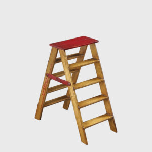 SHAKESPEARE LIBRARY STEP